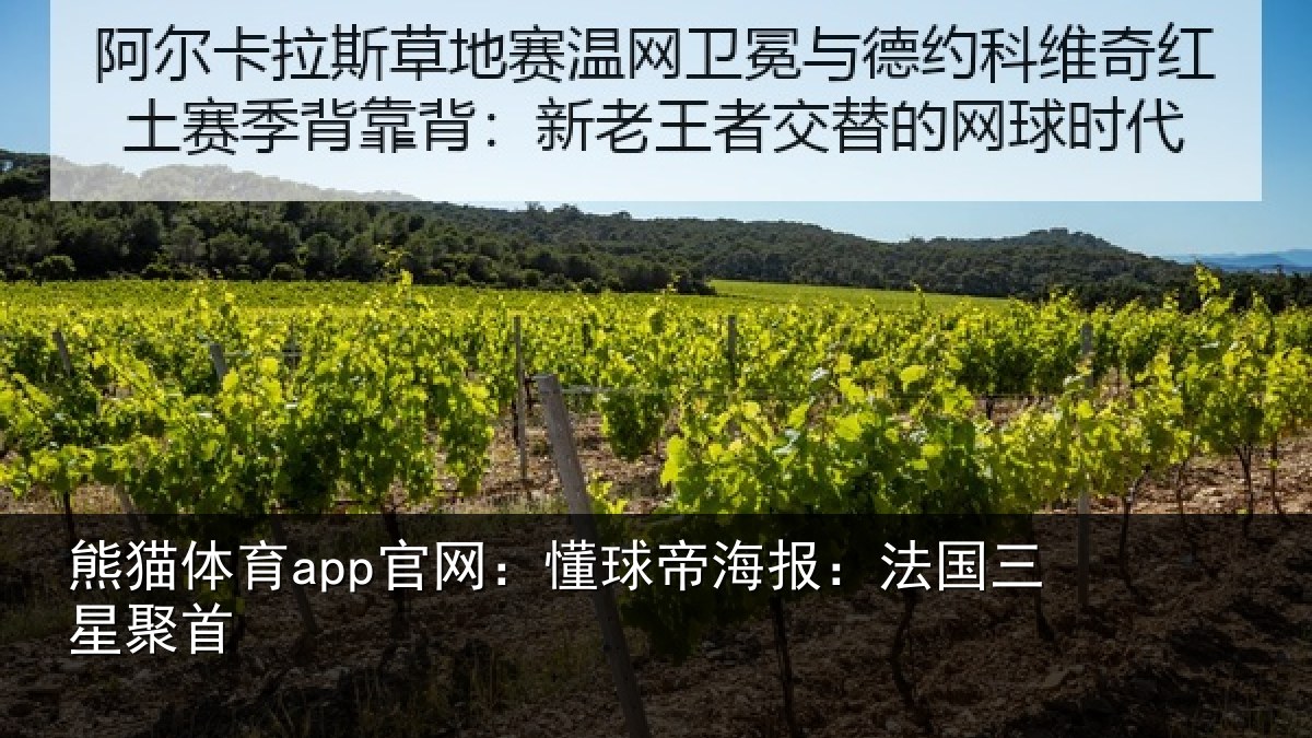 熊猫体育app官网：懂球帝海报：法国三星聚首
